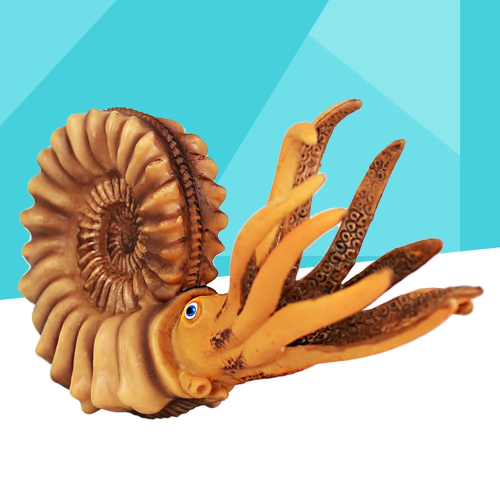 

1pc Simulation Nautilus Model Animal Model Marine Life Figure for Kids Toddlers