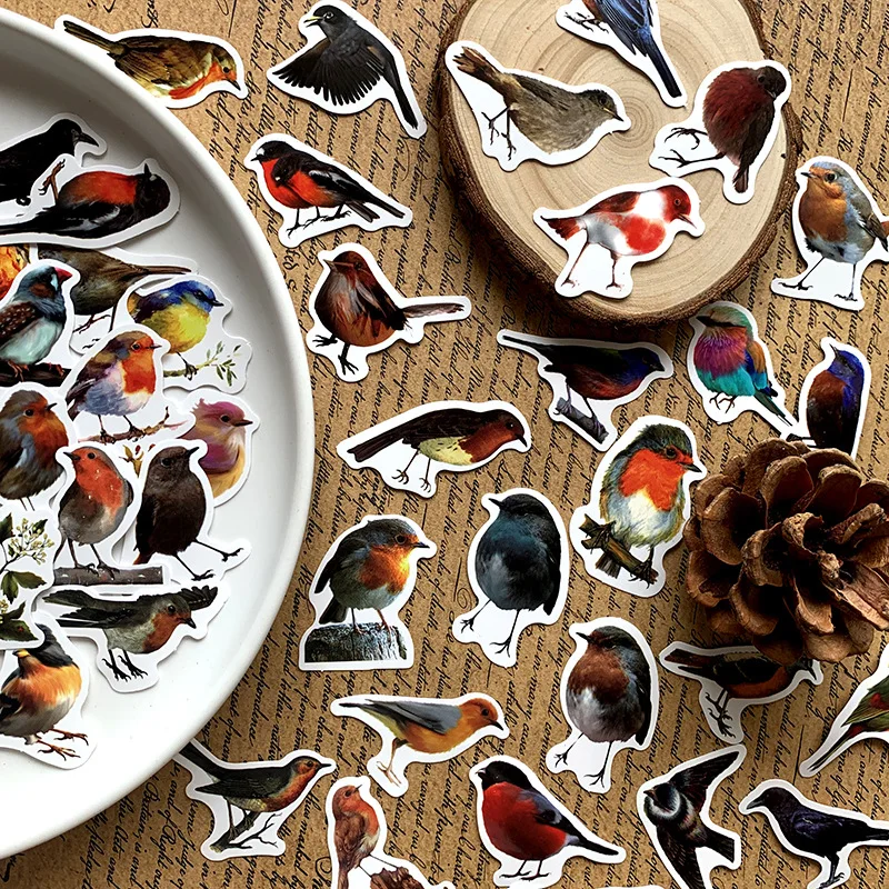 

40Pcs Retro Robins stickers For 2023 waterproof Suitcase Skateboard Laptop Luggage Fridge Phone Car Styling DIY Decal Sticker