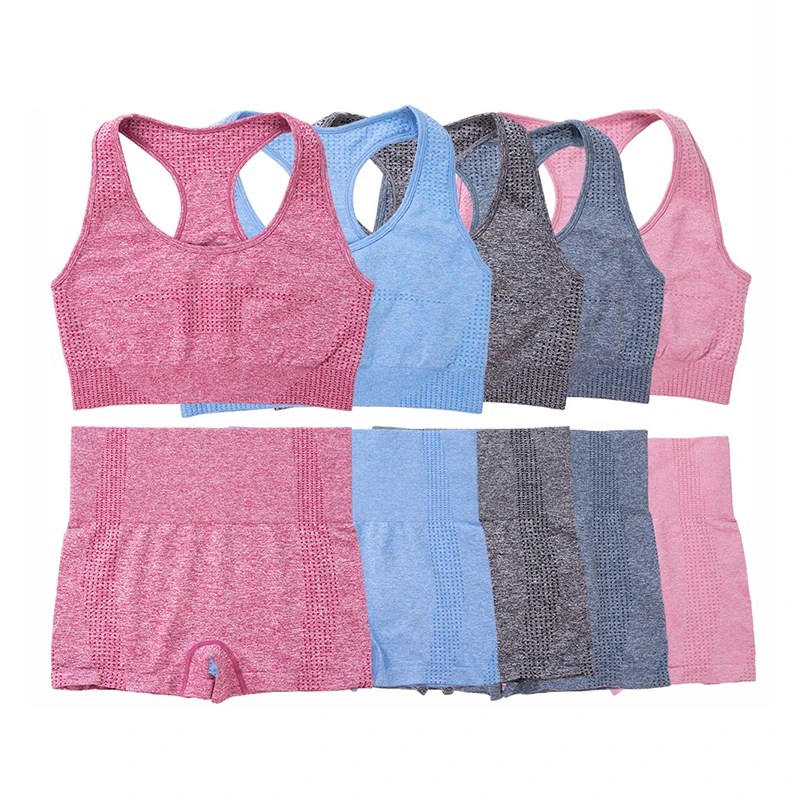 

2 Piece Seamless Yoga Set Workout Clothes For Women Ribbed Gym Set Sports Bras Yoga Shorts Women Gym Clothing