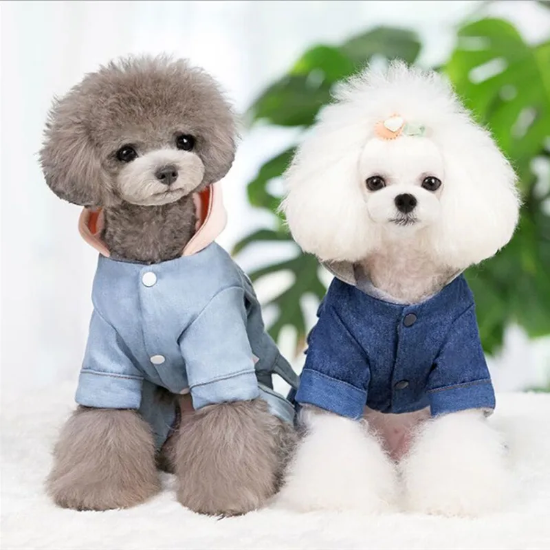 Новинка одежда для щенков Роскошные куртки домашних животных размеры XXL питомцев