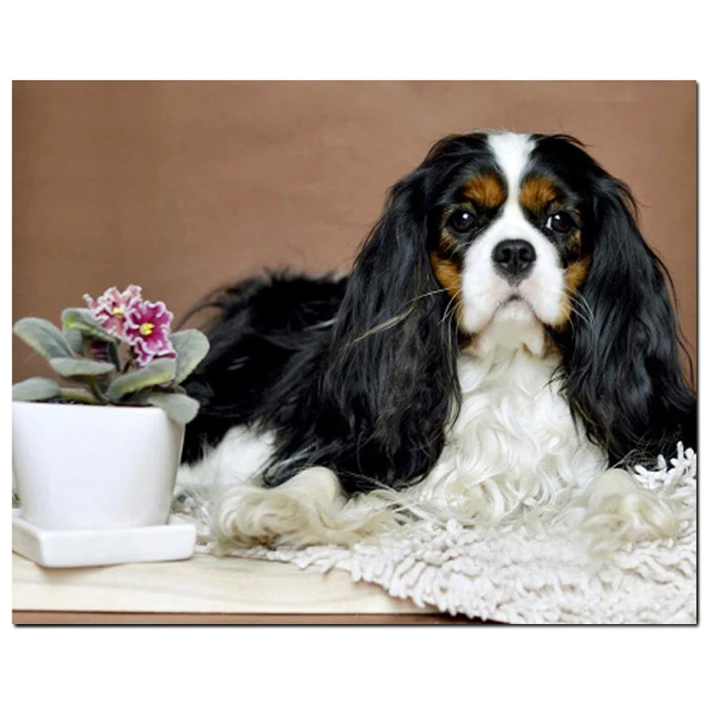 Алмазная вышивка держатель Французский бульдог Чарльз спаниель 5D Сделай Сам