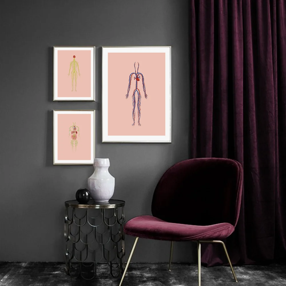 Абстрактная Анатомия человеческого тела мышцы настенное искусство холст