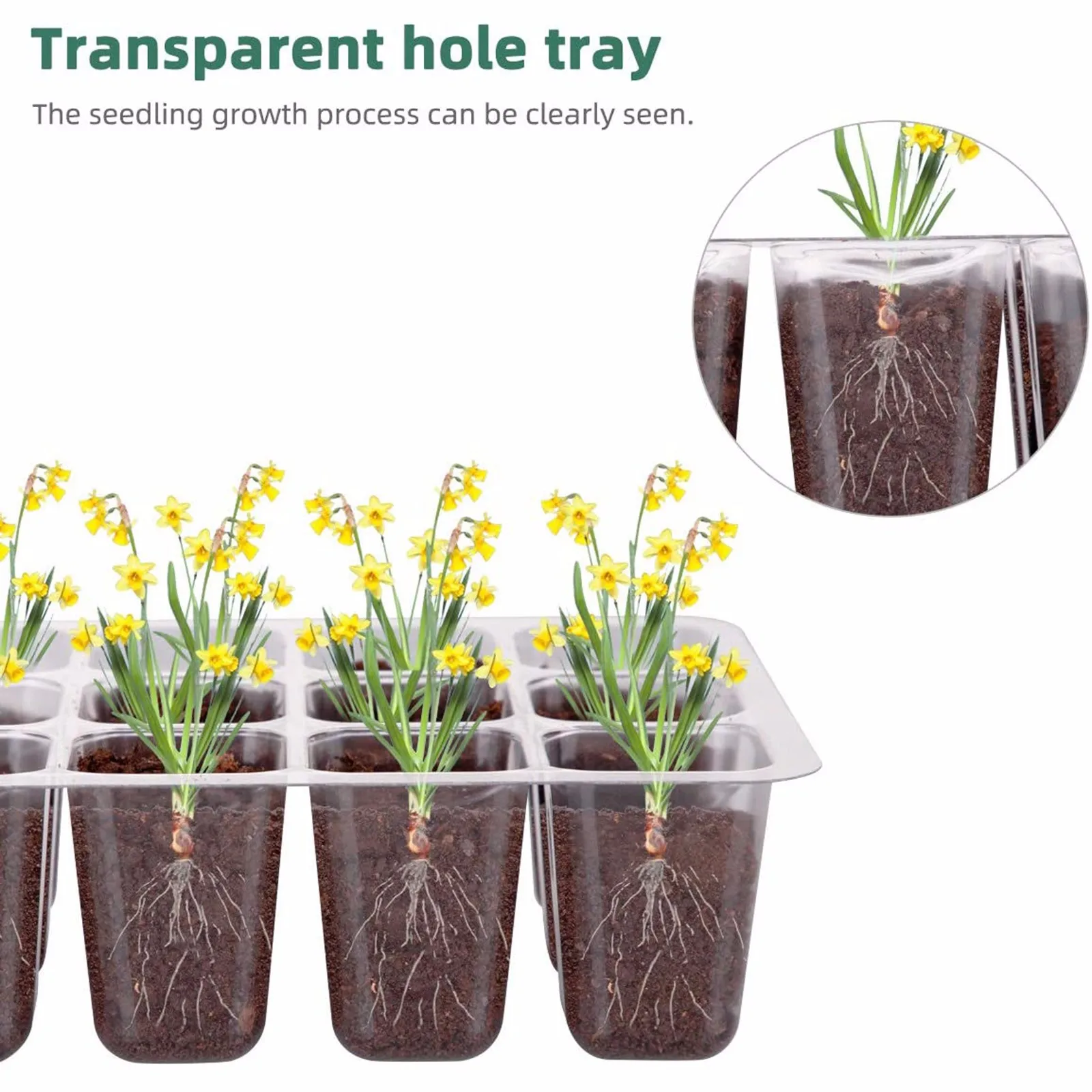 

10 Packs Seed Starter Trays Seedling Tray, Humidity Adjustable Kit With Dome And Base Greenhouse Grow Trays Mini Propagator