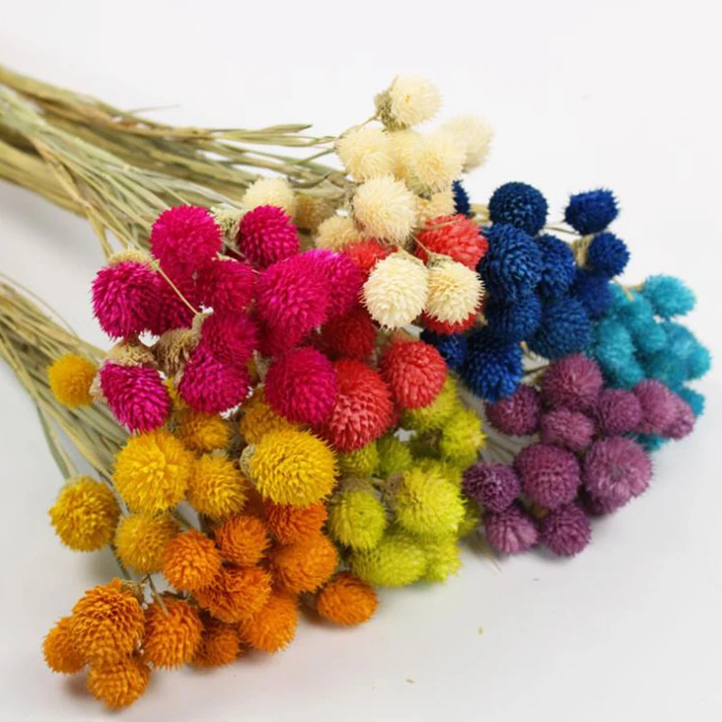 

Beautiful Strawberries Grass Diy Handmade Flores Secas Naturales Bouquet Handicraft Artificial Flower Photo Props