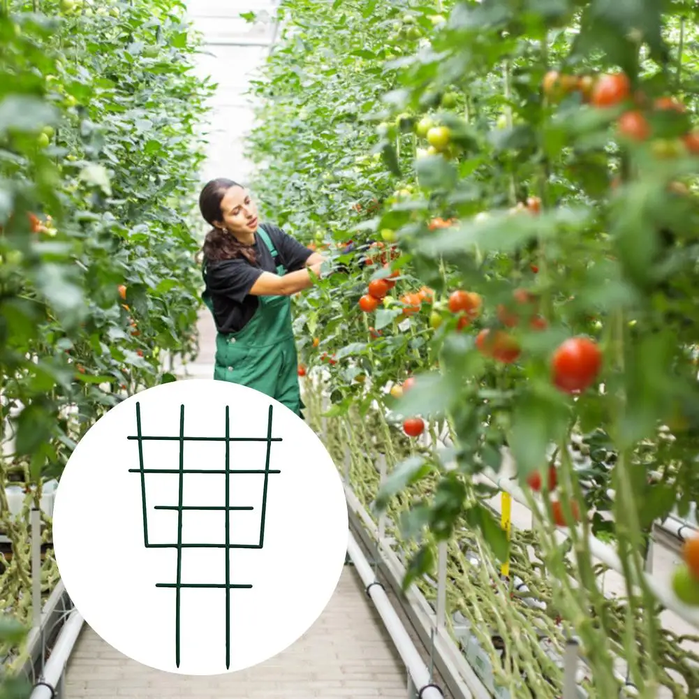 

Plant Trellis Garden Plant Support Climbing Trellis Plastic Flower Supports Gardening Tools