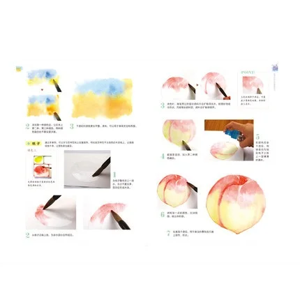 

Chinese Watercolor painting book for beginners Watercolor Painting Techniques From the primer to the mastery