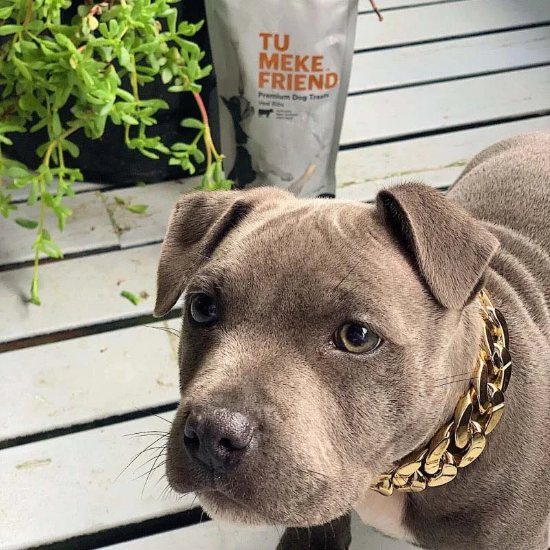 Позолоченные пластиковые ошейники для собак змеевидная цепь больших модные