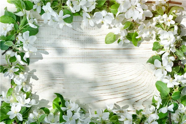 

SHENGYONGBAO Vinyl Custom Photography Backdrops Props Flower and Wood Planks theme Photo Studio Background 20212-53