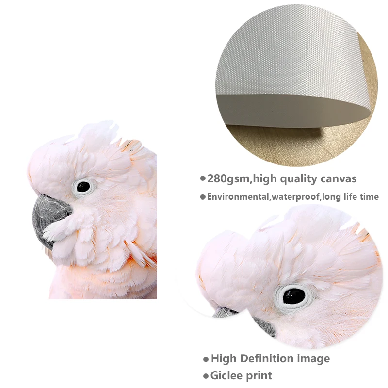 Холщовый постер с изображением розового попугая и птиц Настенная картина