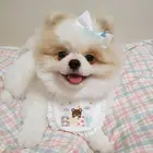 Корейский милый детский Медвежонок с вышивкой, аксессуары для домашних животных