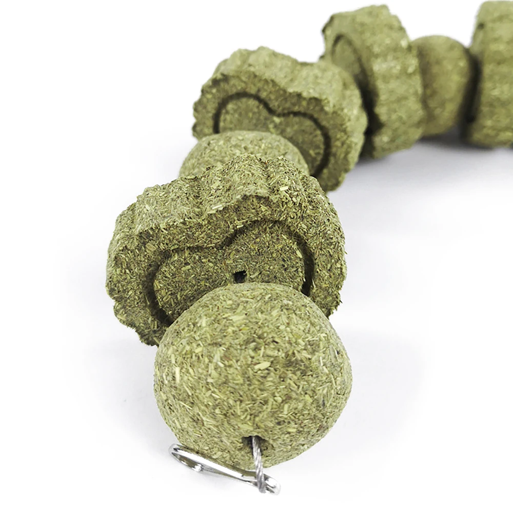 Грызунки морской свиньи зубные жевательные игрушки маленькие питомцы кролик