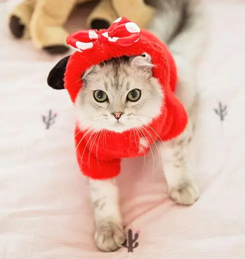 

Cat Clothes cute Kitten Cat Clothing for Halloween Party Pet transform Costume Cat Cosplay Clothes