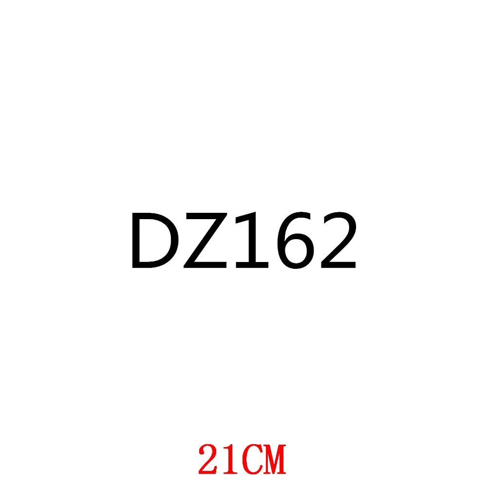 

DZ162-21