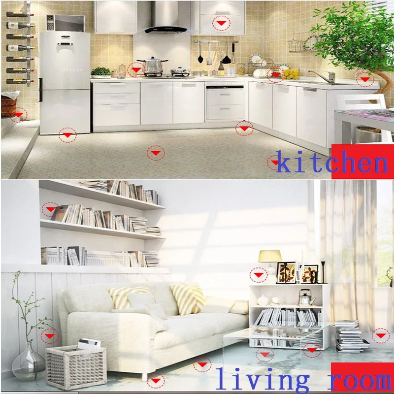 5 шт. инсектицид лекарство для постельных клопов порошок блох и лупы животных