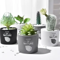 ins wind simulation succulent green plant ceramic potted living room indoor cactus bonsai decoration desktop furnishings