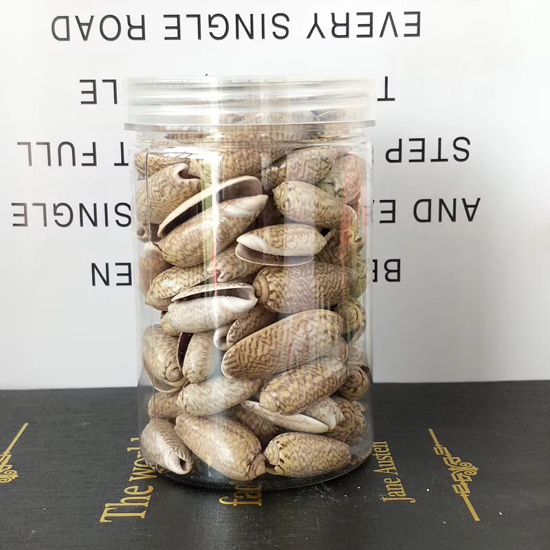 1 коробка миниатюрные бусины в виде ракушек | Дом и сад