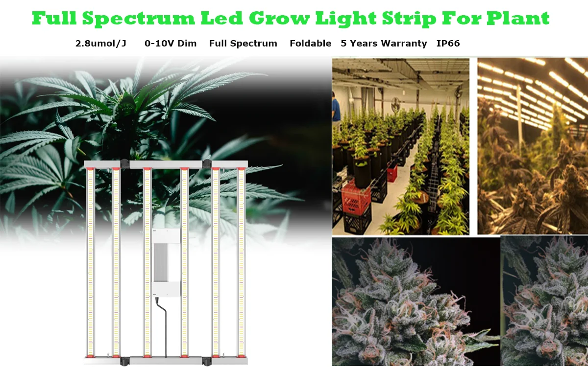 

2.8umol/J PPE Foldable Full Spectrum LED Grow Lights Strip Uv Lamp For Plant Hydroponics Grow Tent Indoor Cultivation