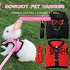 Комплект из жилета и поводка, милая сетчатая дышащая жилетка с бантом и поводком для щенков, уличные товары для тренировок и прогулок