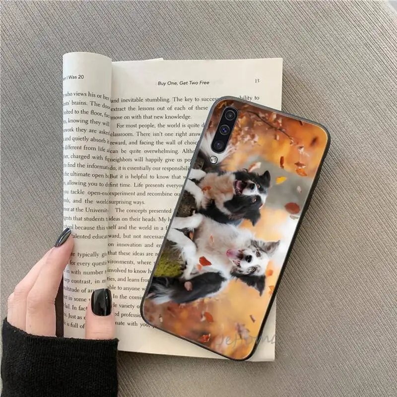 

Border Collie Dog Breed Phone Case For Samsung galaxy S note 7 8 9 10 20 fe edge A 6 10 20 30 50 51 70 lite plus Soft Silicone