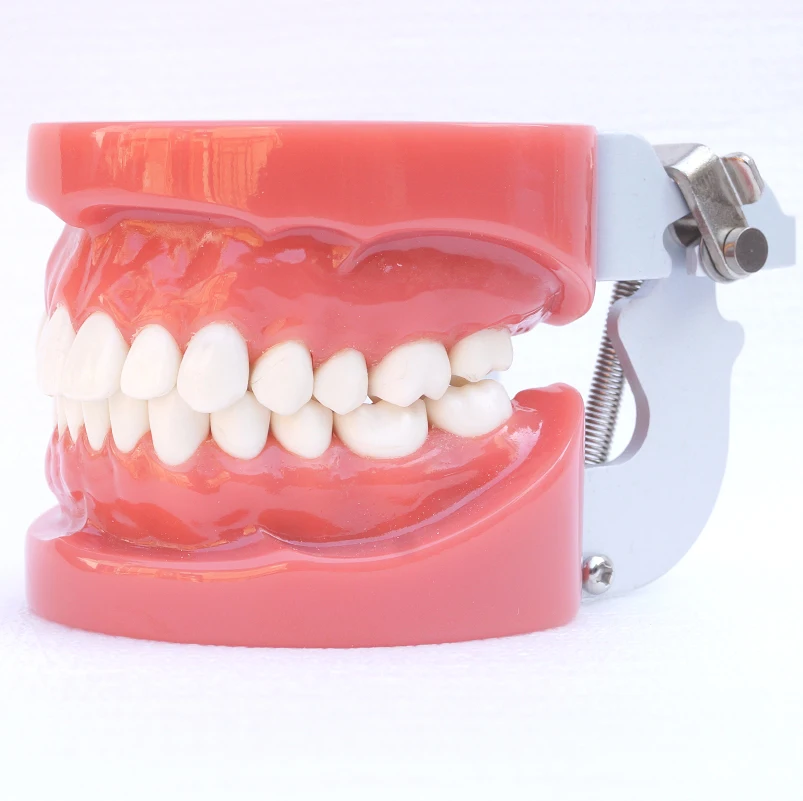 

Dental Supplies
