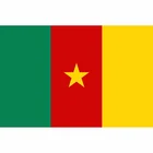 Xuthus Бесплатная доставка 90*150 см 5*3 футов Камерун подвесные государственные флаги для фотографий баннер