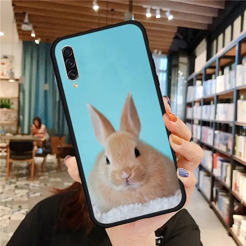 

Cute animal rabbit Phone Case For Samsung galaxy A S note 10 7 8 9 20 30 31 40 50 51 70 71 21 s ultra plus