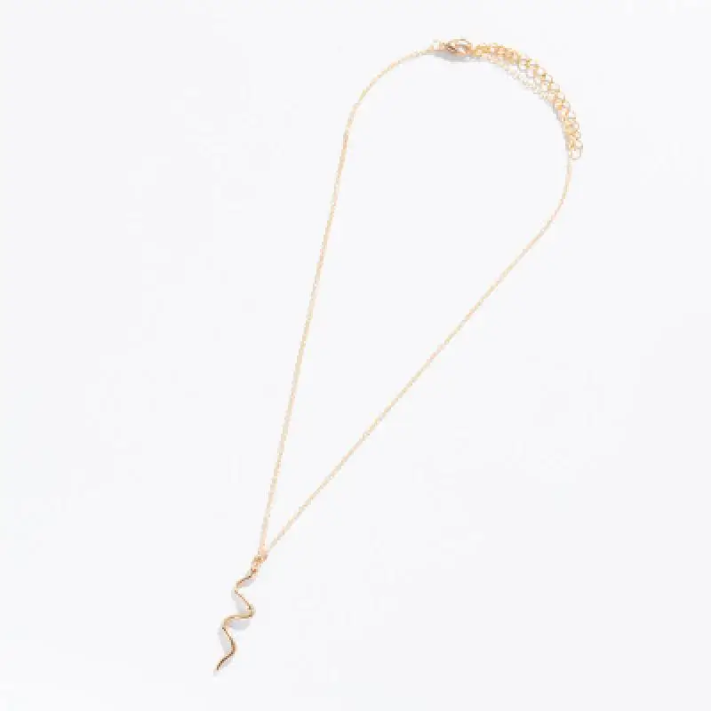 Персонализированные тонкие цепи ожерелье с медальоном в виде змеи для женщин