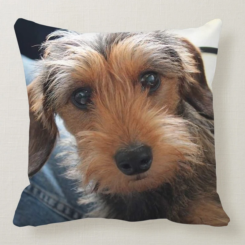 1 шт. 45*45 см милая собака подушка чехол Wirehaired подушки с таксой диван кровать автомобиль подушка чехол Спальня украшение в виде таксы Подушка бухта