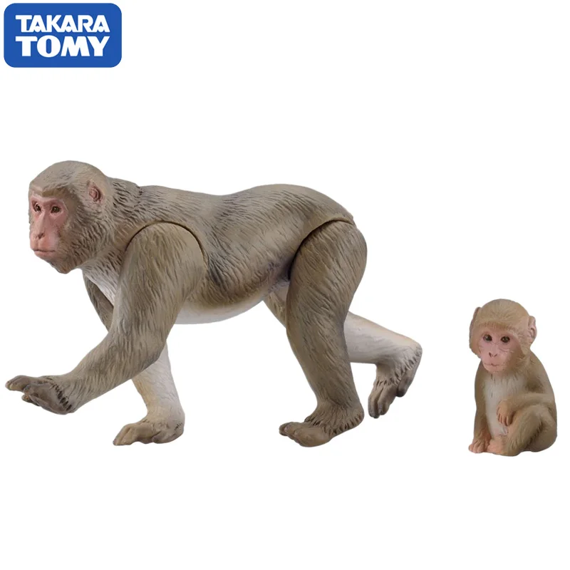 Takara Tomy ANIA Animal Advanture Monkey 2 шт. дикая ABS фигурка детские развивающие игрушки|Игровые