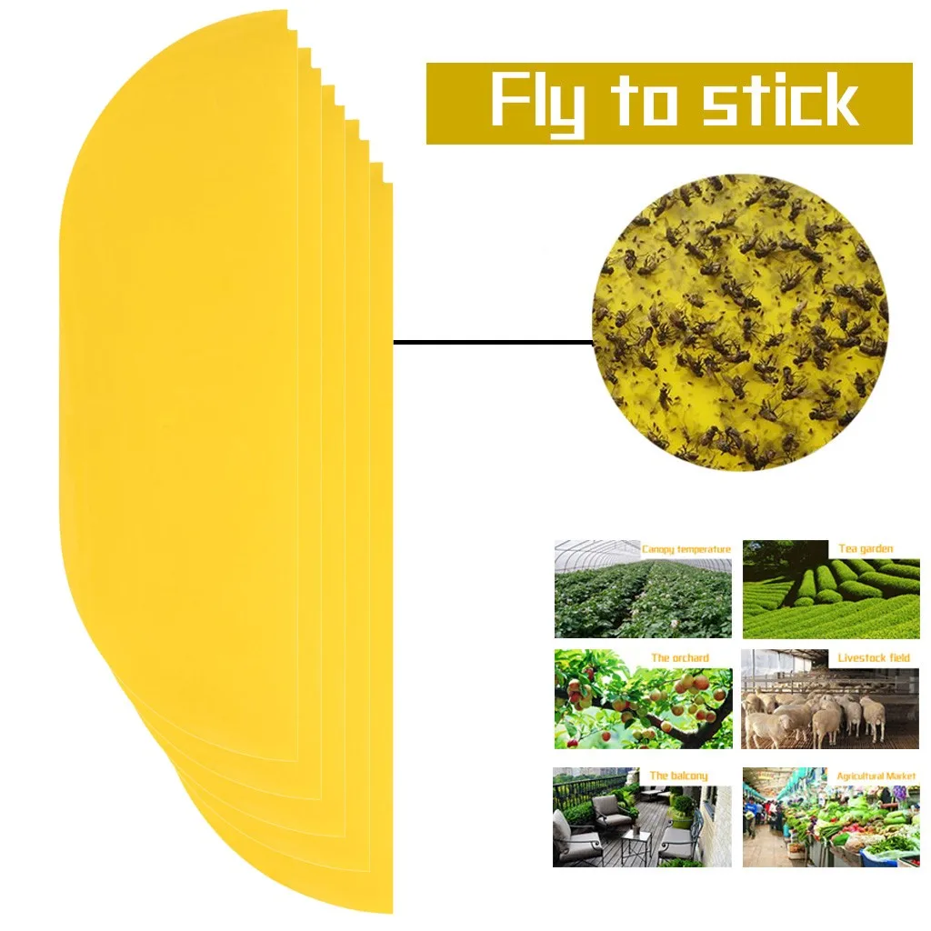 Палочка Flycatcher для постельных клопов деревянная доска односторонние наклейки мух