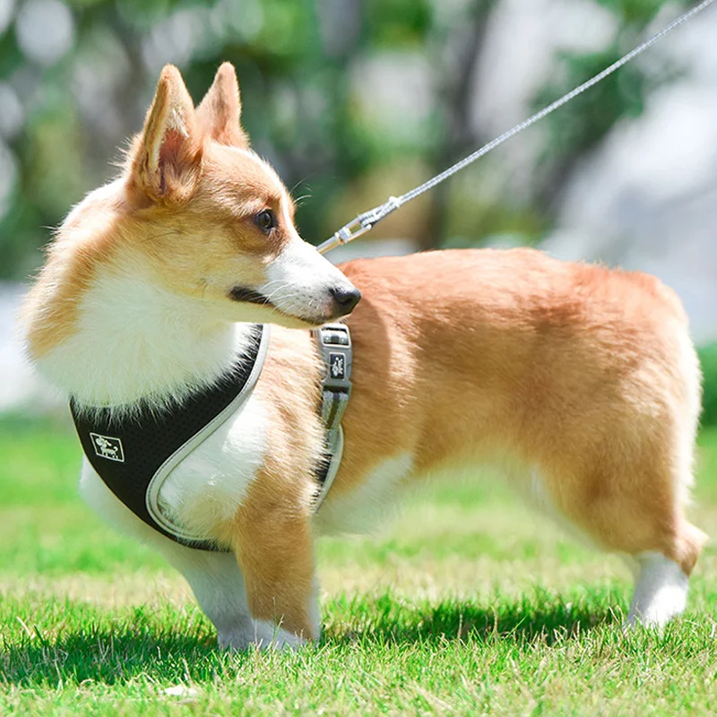 

Жилетка и поводок для домашних животных, светоотражающая дышащая поводок для маленьких собак, померанский корги, Мопса