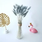 Натуральный белый черный серый хвост Банни трава украшение для дома гостиной вечевечерние сушеные цветы Свадебная Декорация Аксессуары для брака