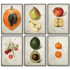 Картина на холсте, фрукты, кухня, винтажный постер, античный принт, груша, яблоко, оранжевый, ананас, настенные художественные картины, домашний декор