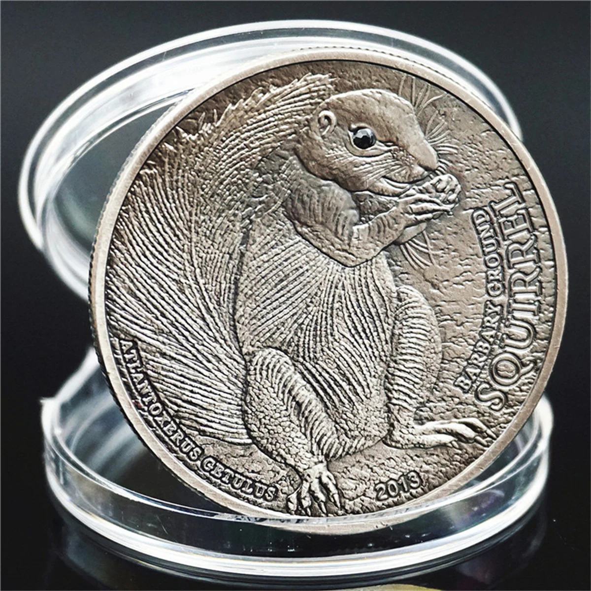 

Animal Coin Congo Lucky Squirrel Gift Commemorative Coin Commemorative Medal Silver Coin Crafts Collectibles