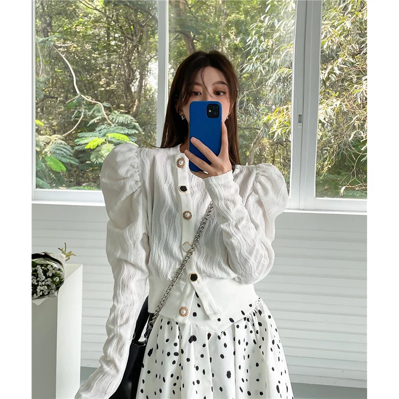 

Chiffon Blouse women's French loose round neck temperament long sleeve coat autumn chic fried Street niche chic top