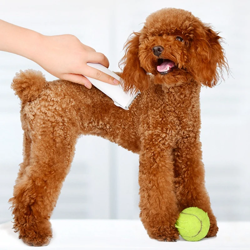 

Pets Hair Trimmers Professional Dog/Cat Pet Grooming Electrical Pets Hair Clippers USB Rechargeable Pets Shaver