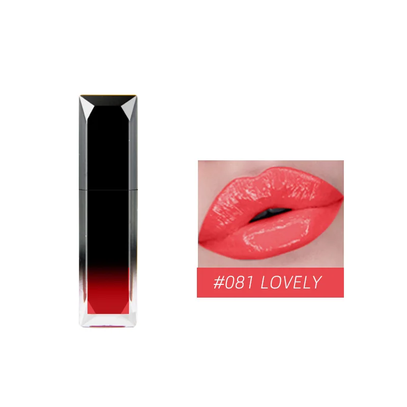 

High Shine Lip Gloss Plump Nourish Soft & Smooth Lip Makeup non-Sticky formula Lipgloss