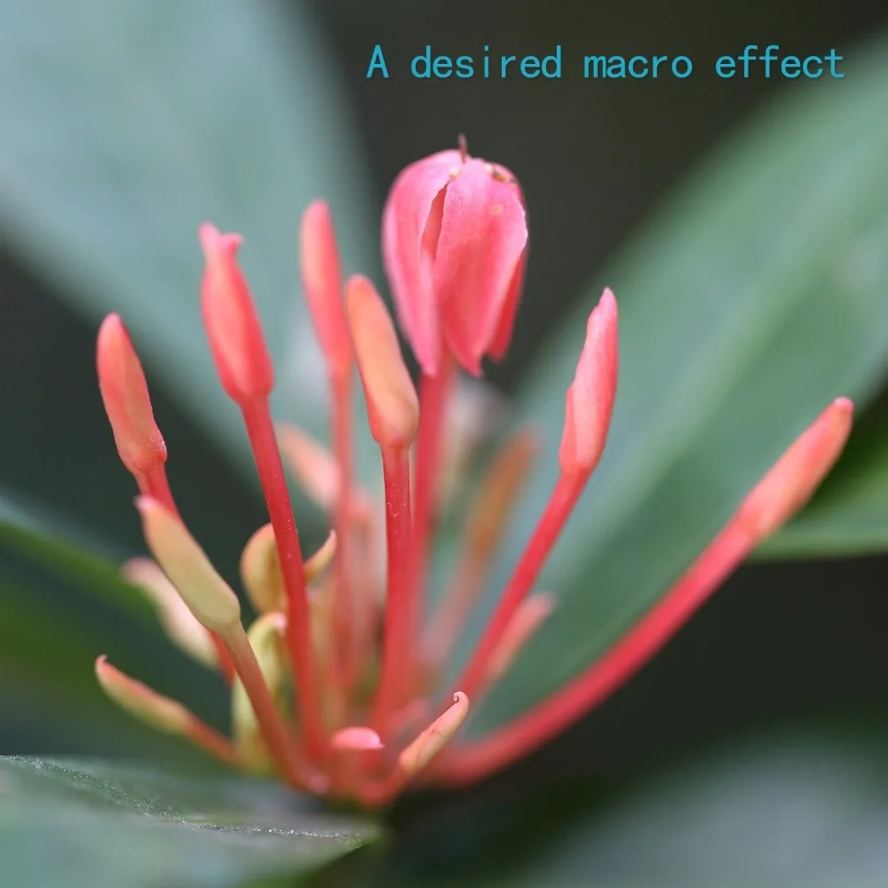 Красное металлическое TTL Автофокус Макро Удлинительное Кольцо для Canon 600d 500d 80d EOS EF