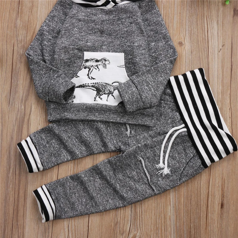 Baby Boys Clothes Baby Long Sleeve Hoodies Newborn Dinosaur Tops Pants Outfits Kid Clothing Sets