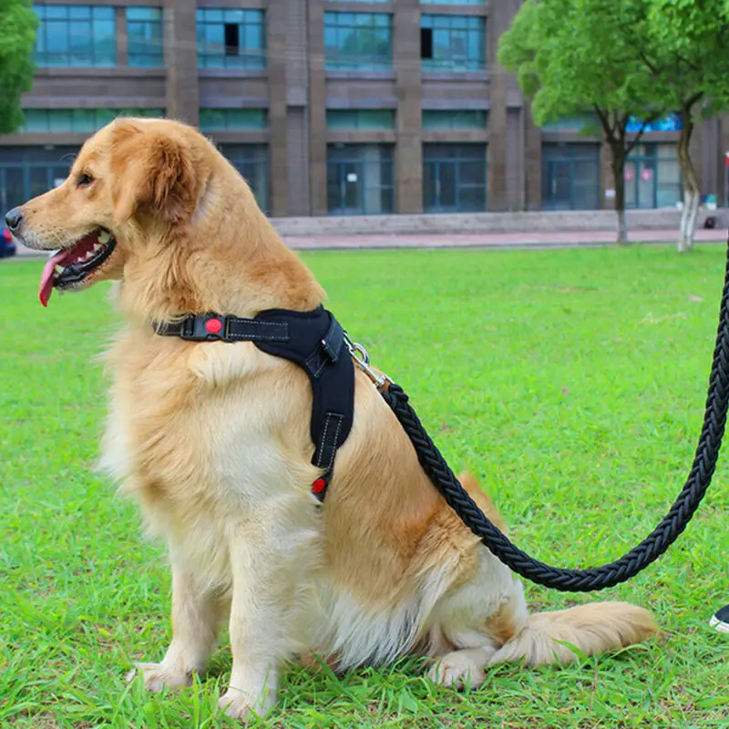 Светоотражающие дышащие мягкие воздушные сетки маленький щенок Собака Жилет