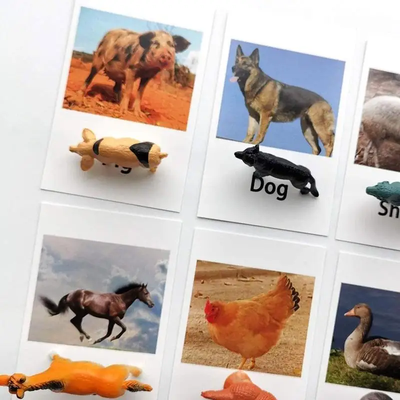 

Animal Model Card Matching, Literacy, English Card Language Aids, Toys Teaching Early Childhood Education B3T1