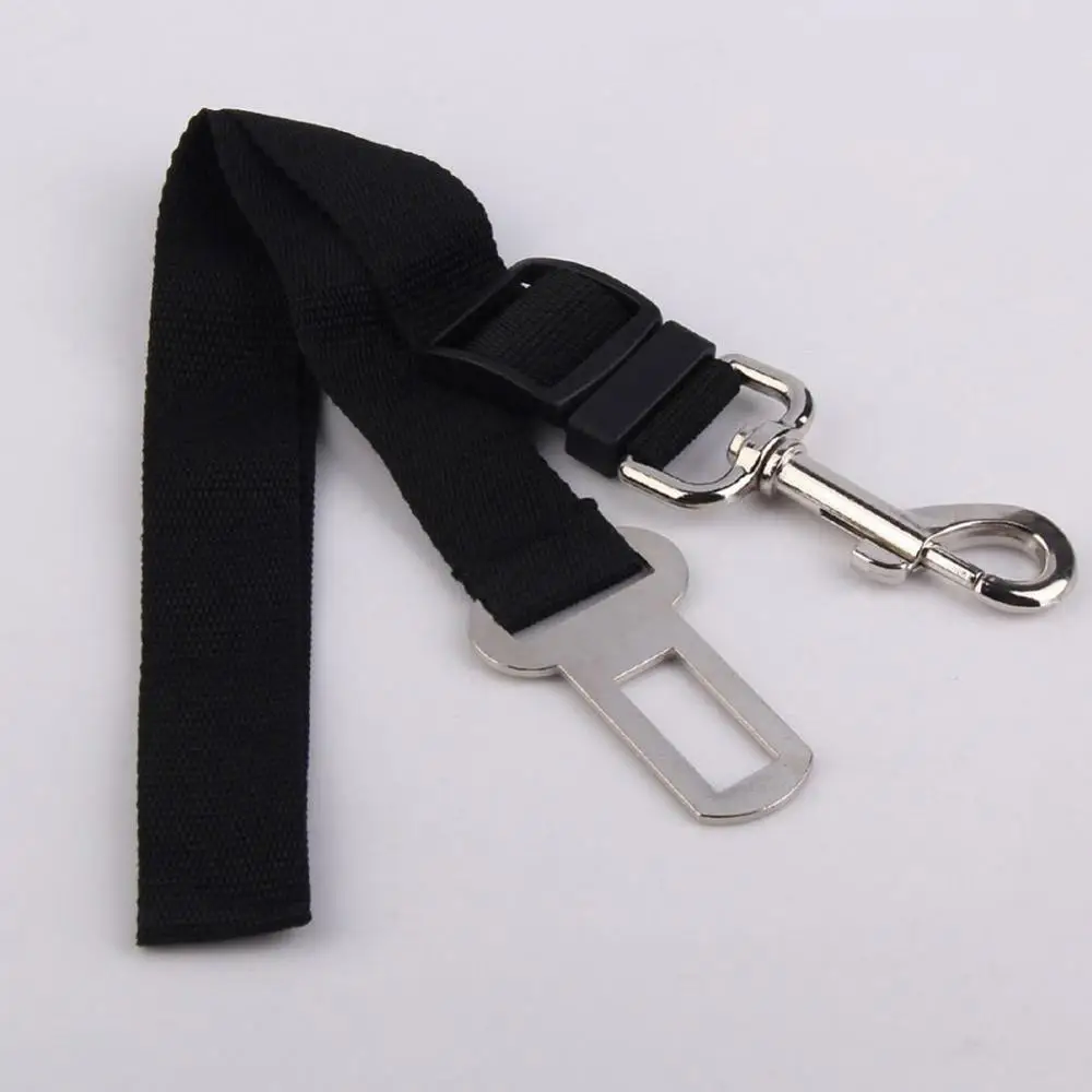 Поводок для домашнего питомца 10|Поводки| |