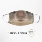 Мышь, мышь, крысиная маска для лица Mascarilla, защитная Пылезащитная Антибактериальная маска унисекс для взрослых