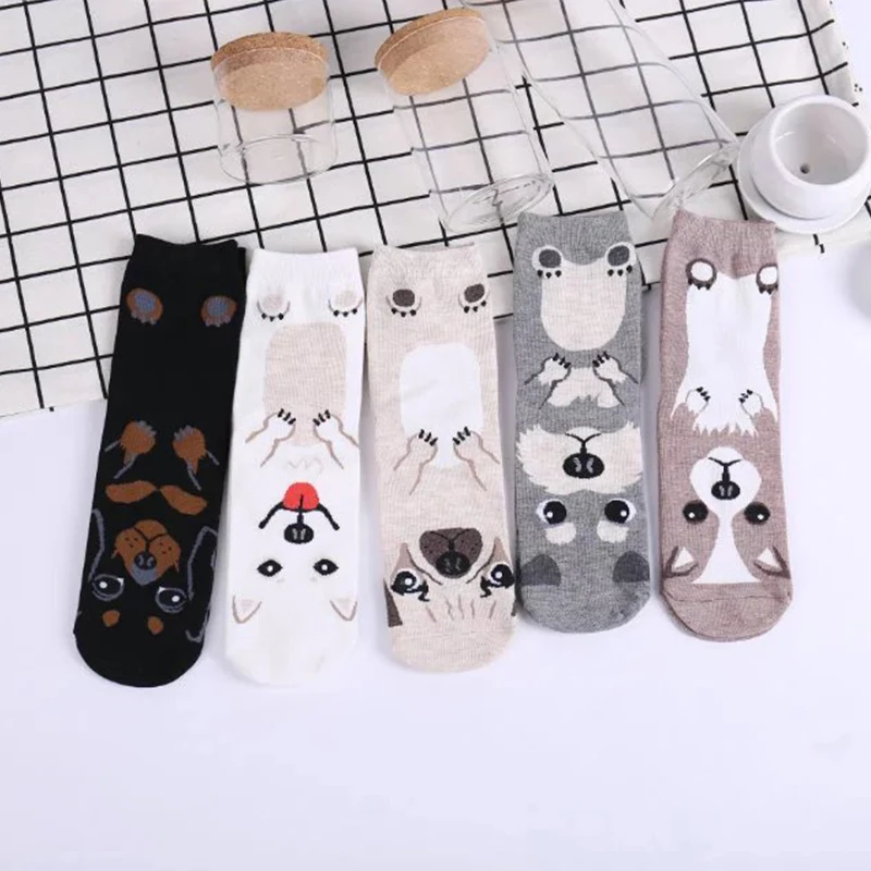 Носки женские из чистого хлопка с забавным принтом 5 пар|Чулки| |