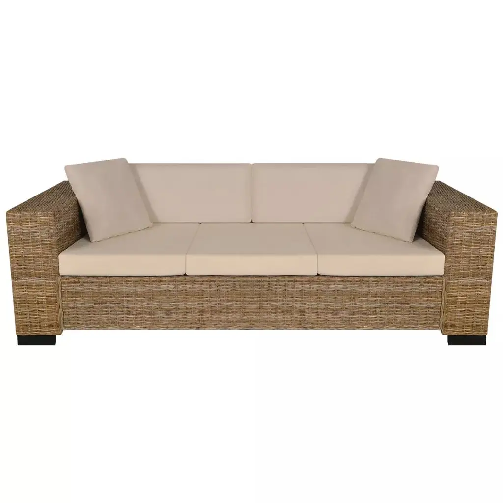 Good Quality Rattan Sofa Couches VidaXL Authentic Three Person Set 2 Back Cushions Pillows Wood Sofas | Мебель