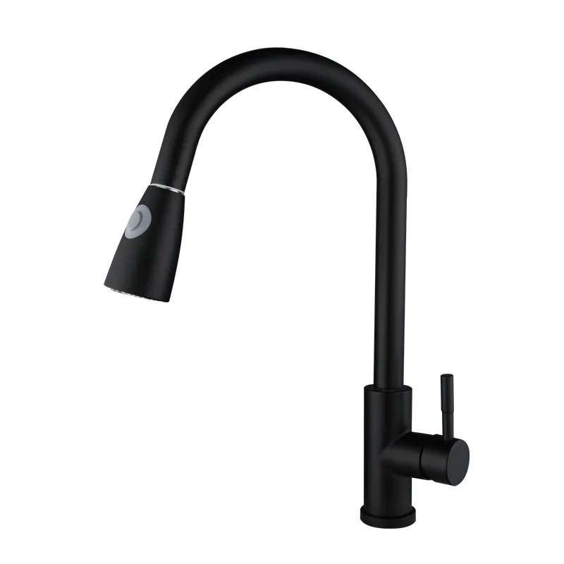 

2021 New Kitchen Faucet Stainless Steel Black Pull-out Faucet Hot and Cold Paint Retractable Vegetable Basin Faucet