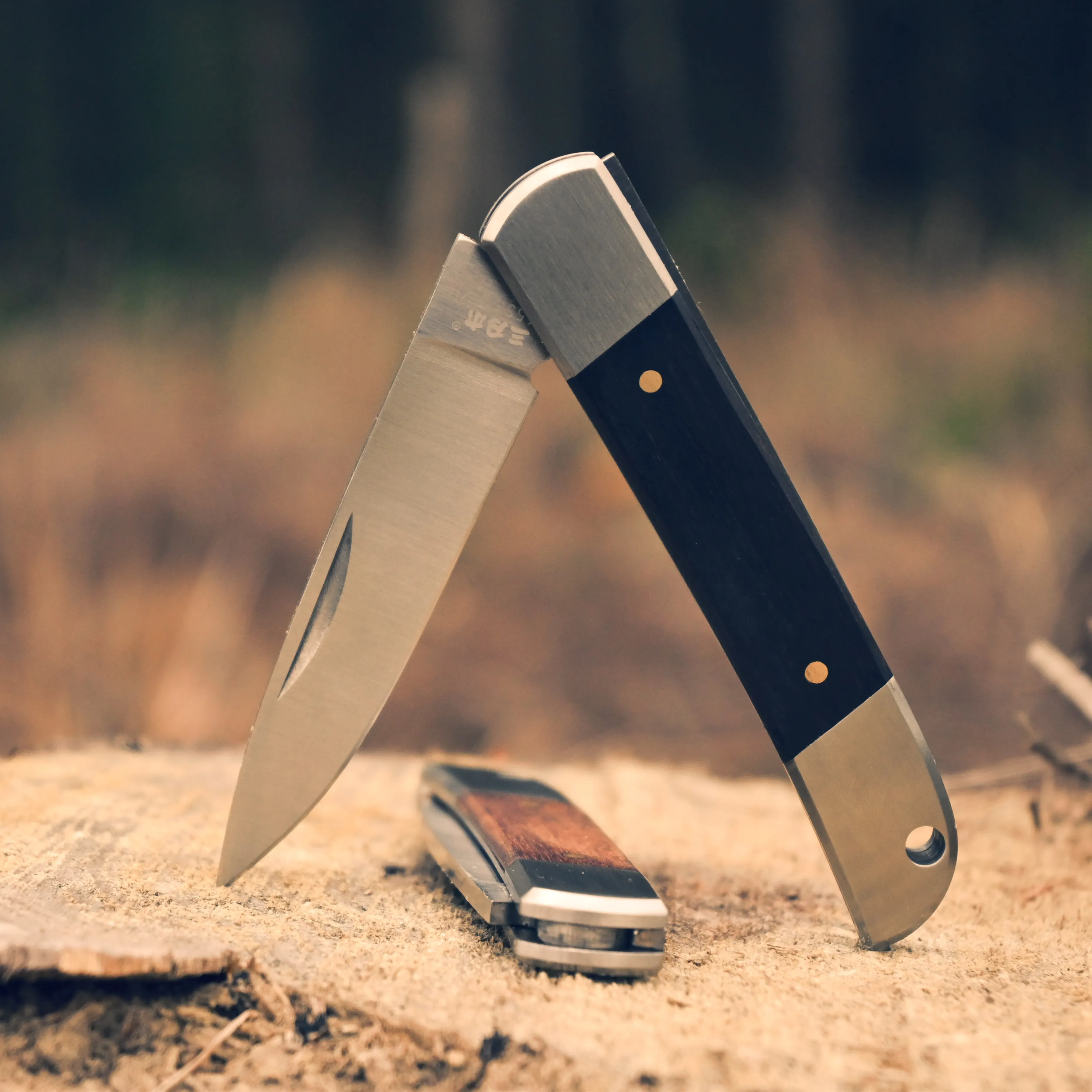 Клинок SANRENMU 7065 4Cr15N мини-Клинок без блокировки карманный складной нож для