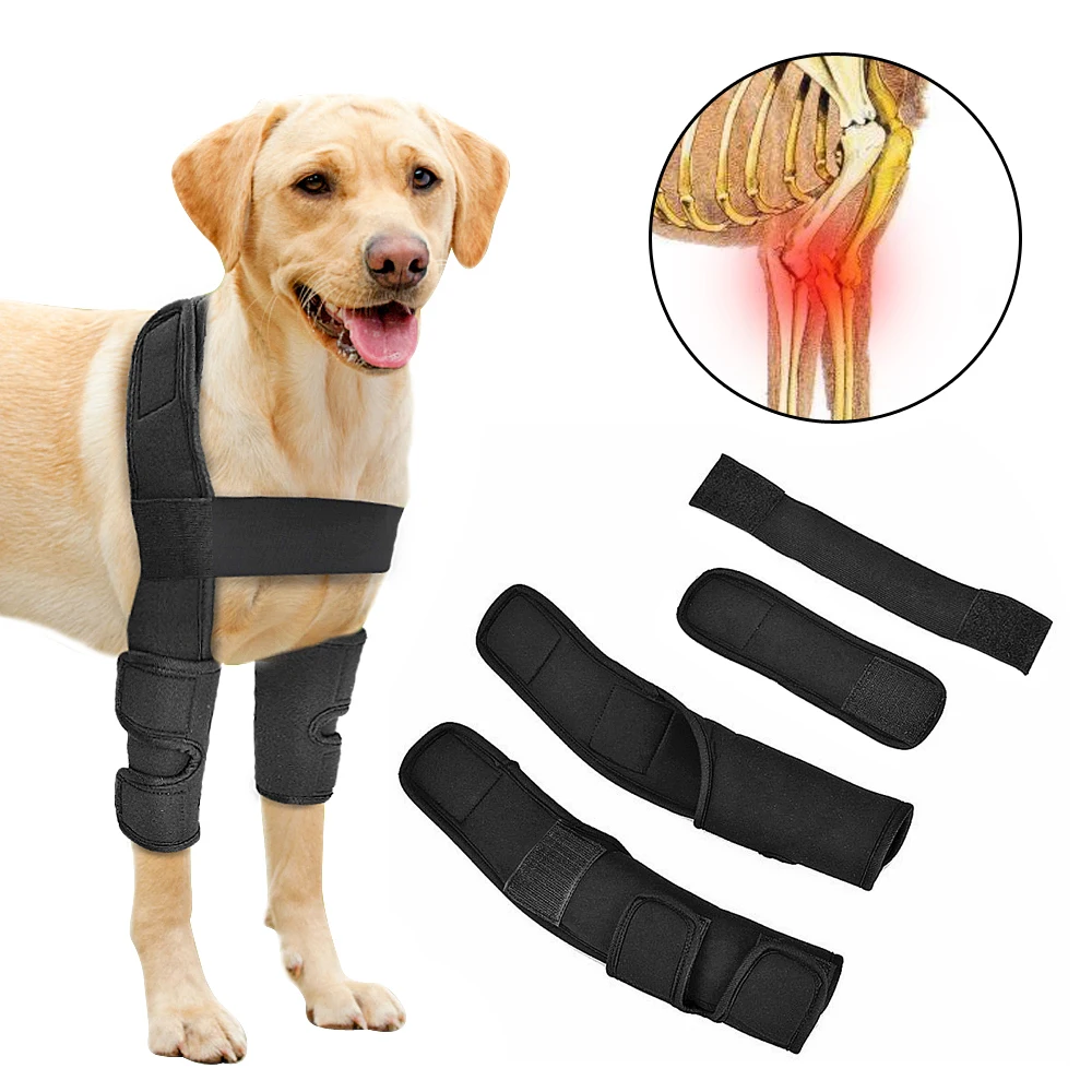 Dog Leg Brace Pet Support Supplies Protector Dogs Recovery Sleeve Protects Wounds Accessories | Дом и сад