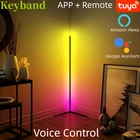 RGB-лампа напольная 1500 мм с поддержкой Wi-Fi и голосовым управлением, 100-240 В