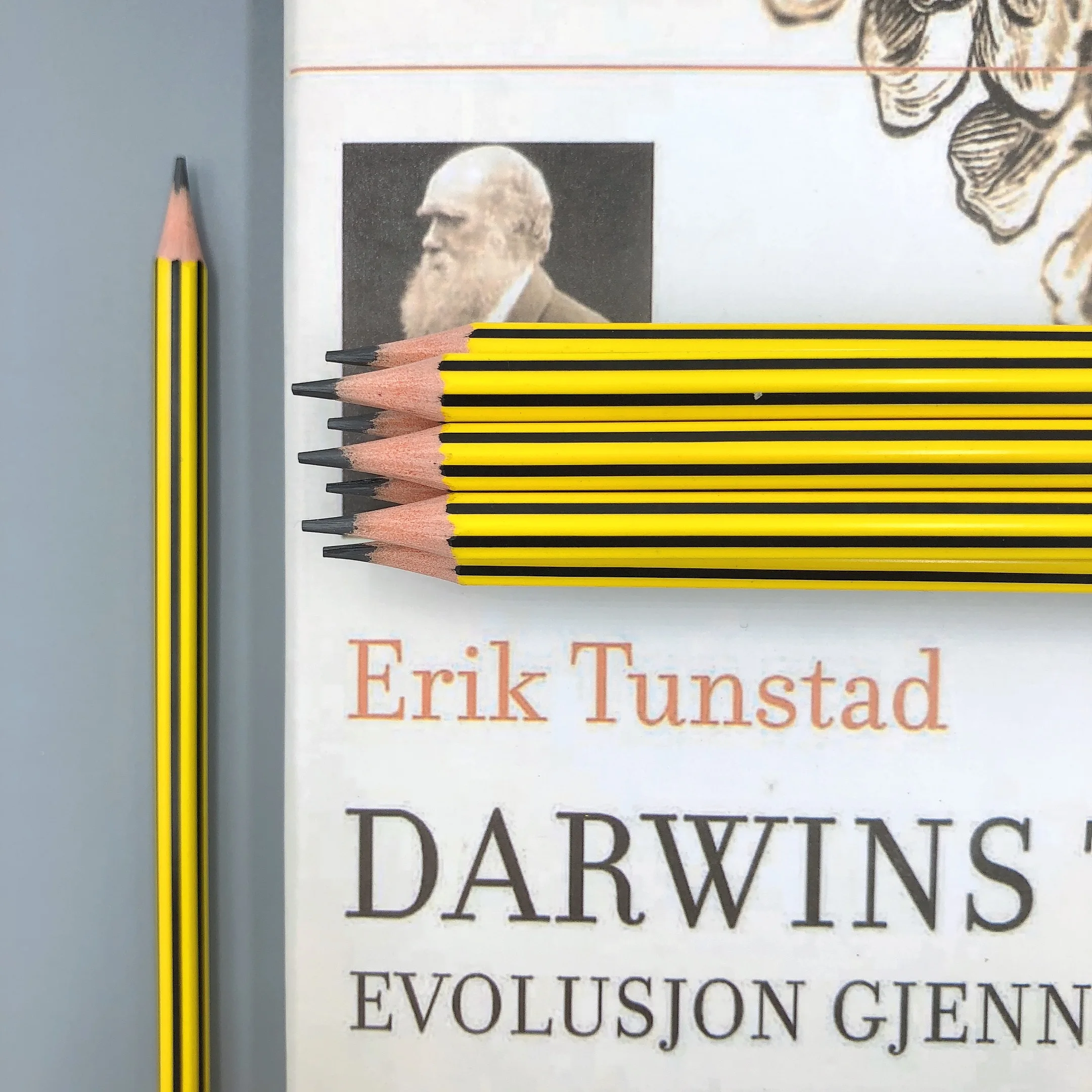 12 шт./лот DIY милый пластиковый черный прочный карандаш для рисования HB в полоску